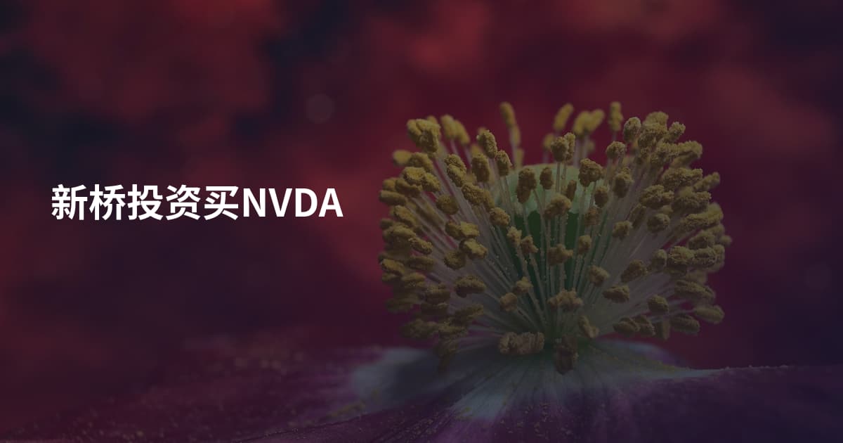 新桥投资买NVDA