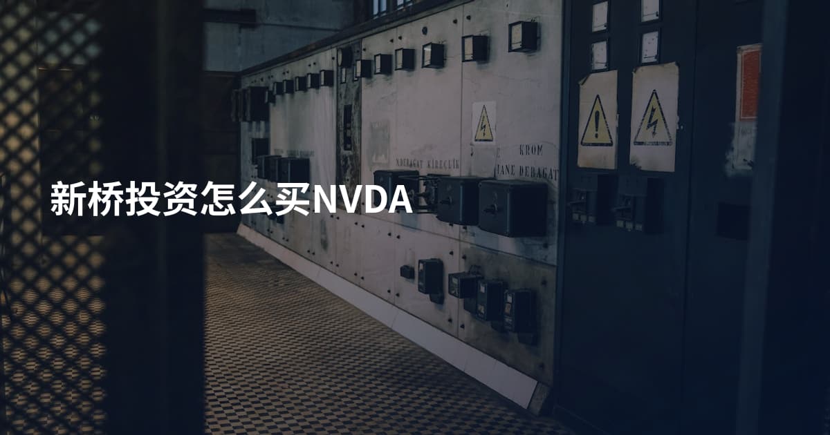 新桥投资怎么买NVDA