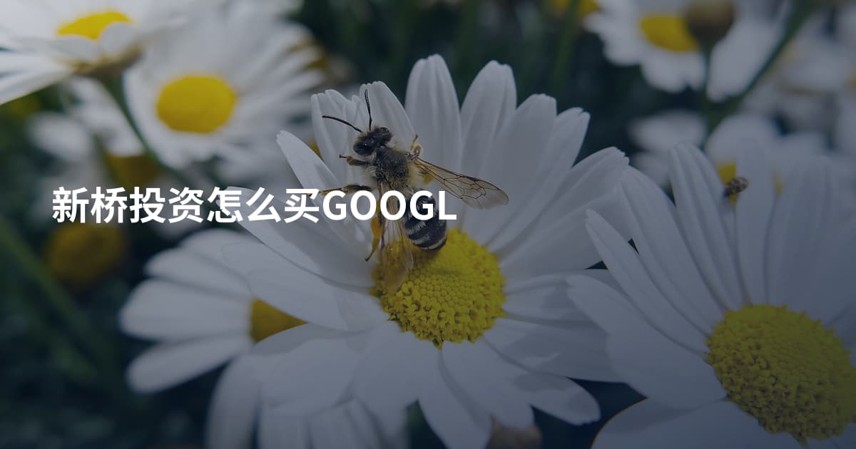 新桥投资怎么买GOOGL
