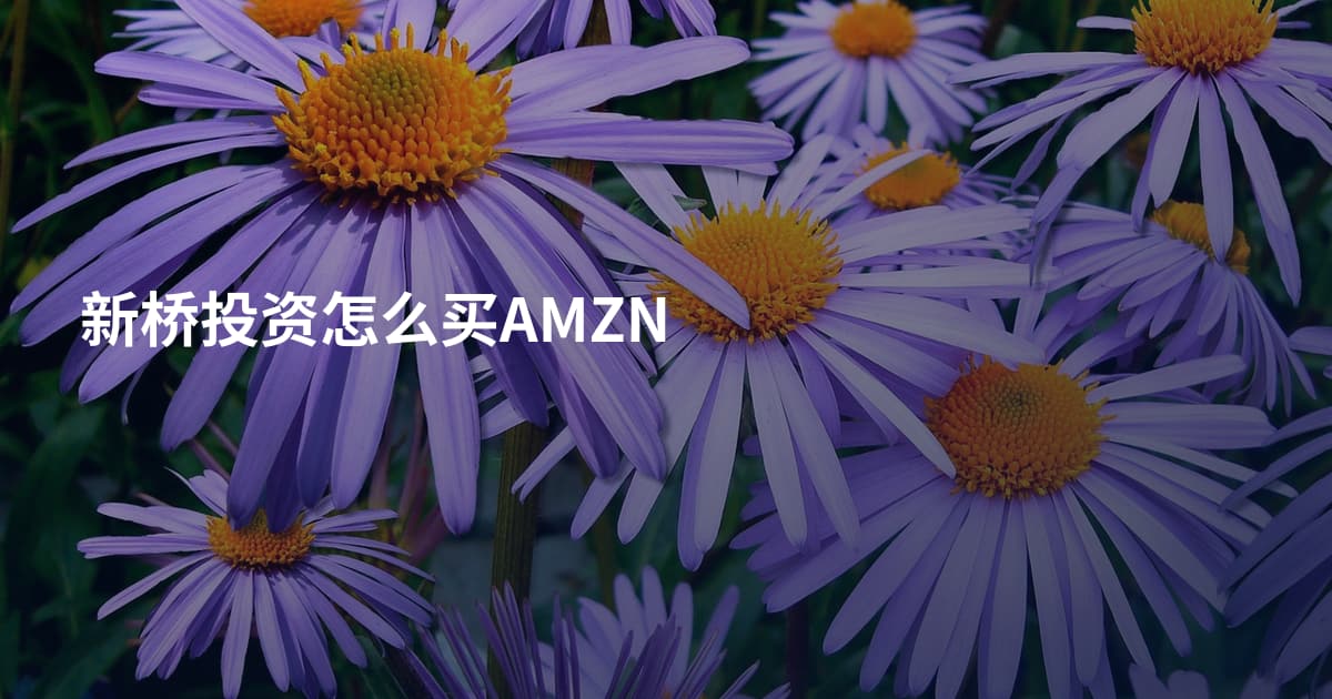 新桥投资怎么买AMZN