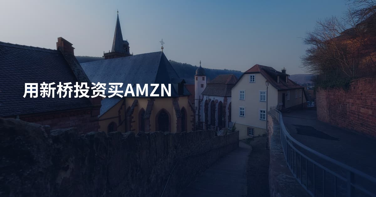 用新桥投资买AMZN