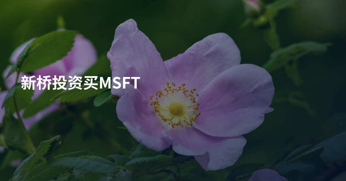 新桥投资买MSFT
