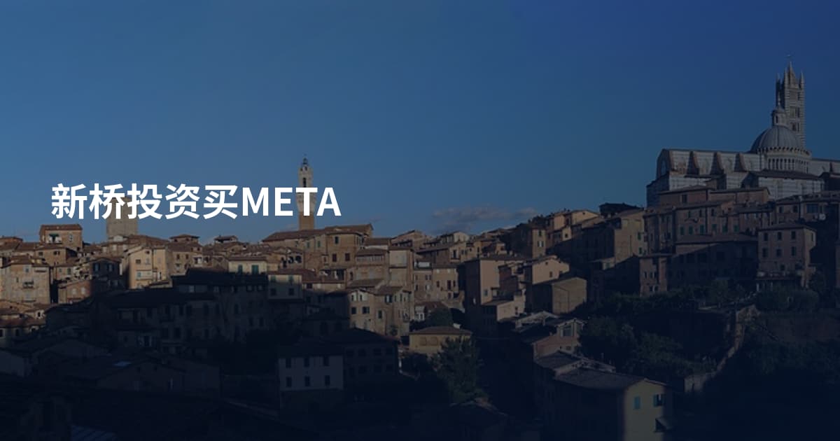 新桥投资买META