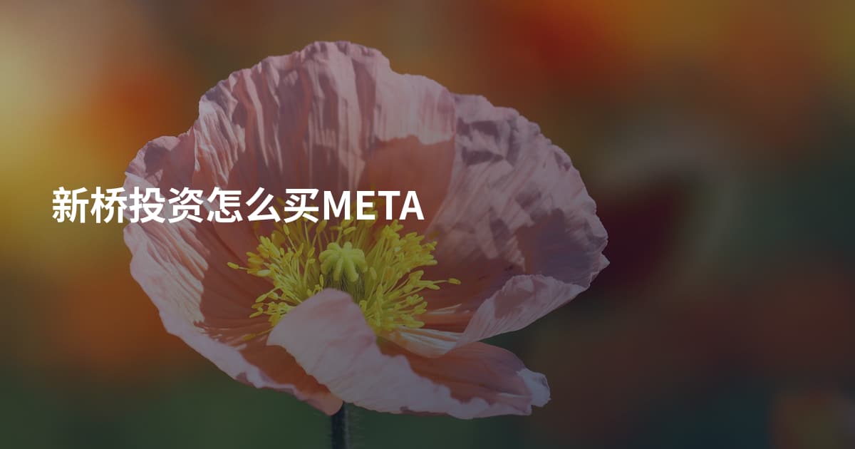 新桥投资怎么买META