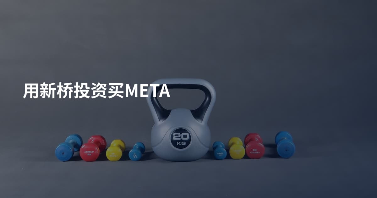 用新桥投资买META