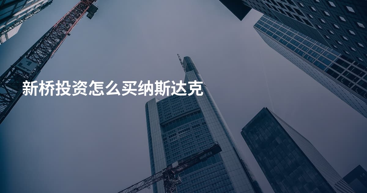 新桥投资怎么买纳斯达克