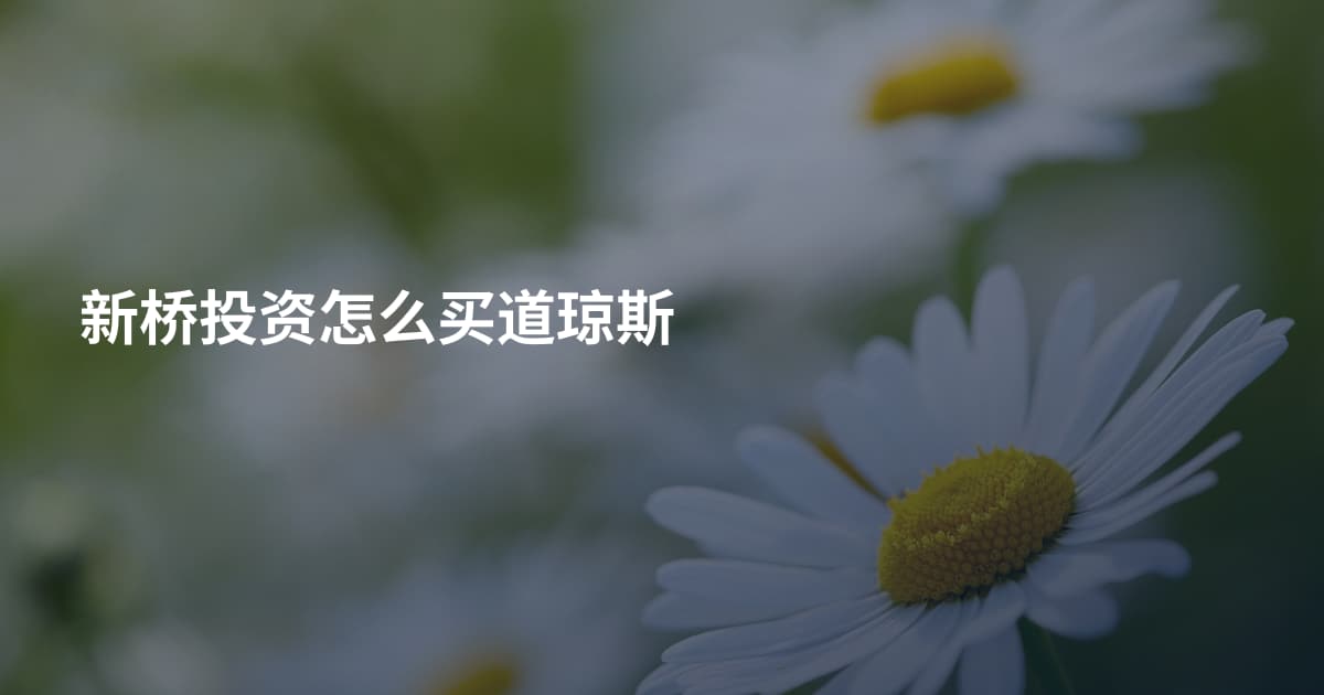 新桥投资怎么买道琼斯