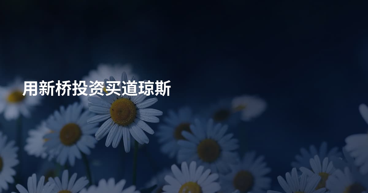 用新桥投资买道琼斯