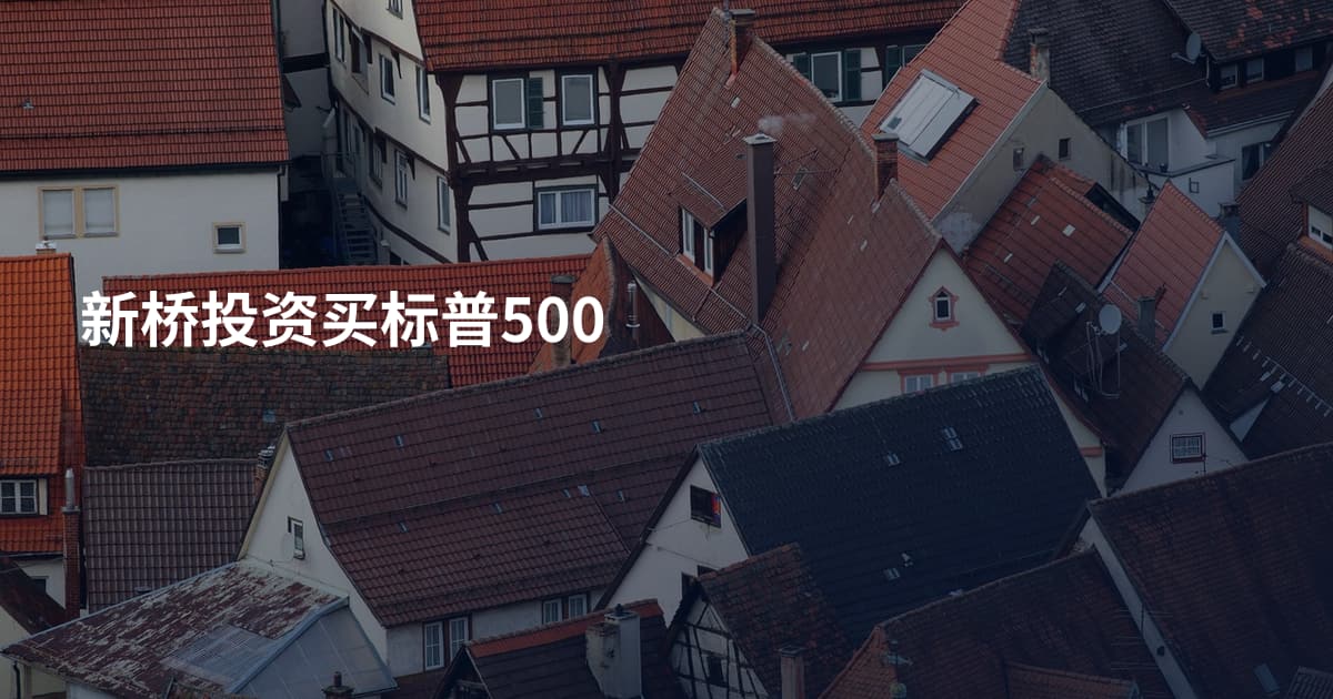 新桥投资买标普500
