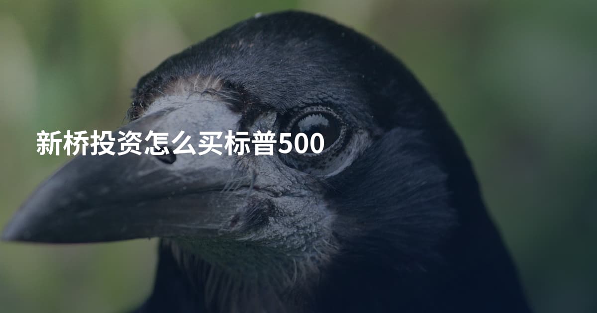 新桥投资怎么买标普500