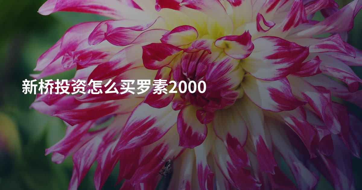 新桥投资怎么买罗素2000
