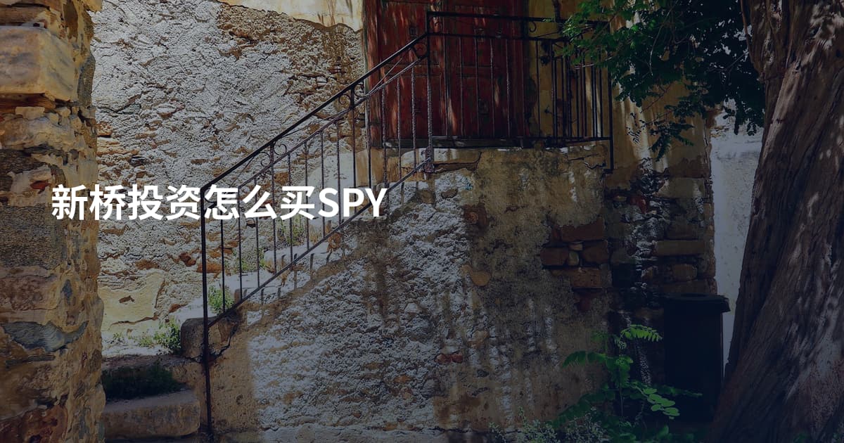 新桥投资怎么买SPY