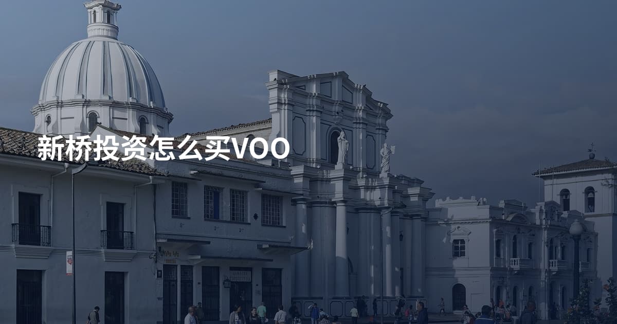新桥投资怎么买VOO