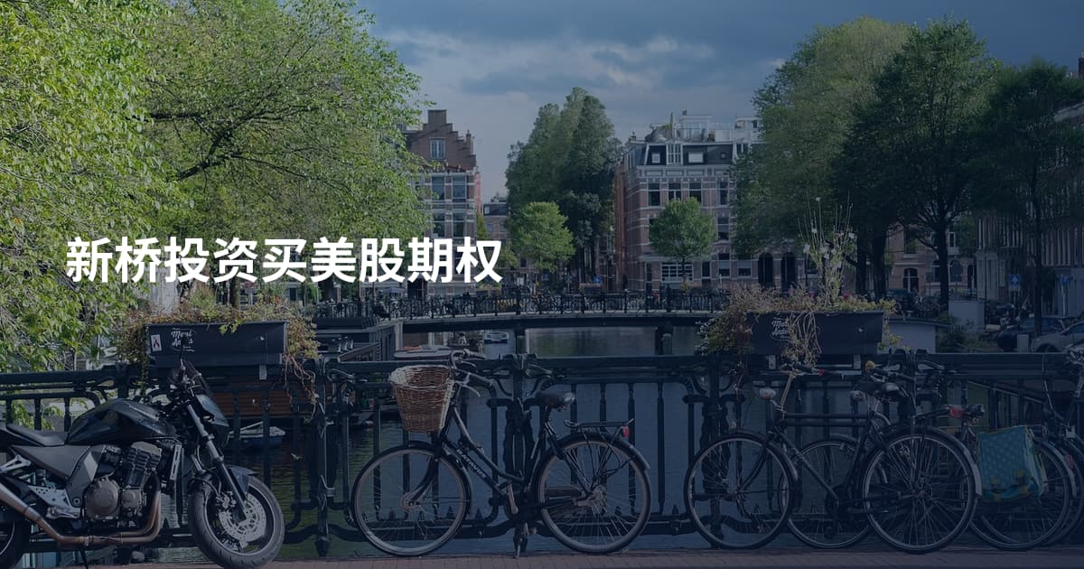 新桥投资买美股期权