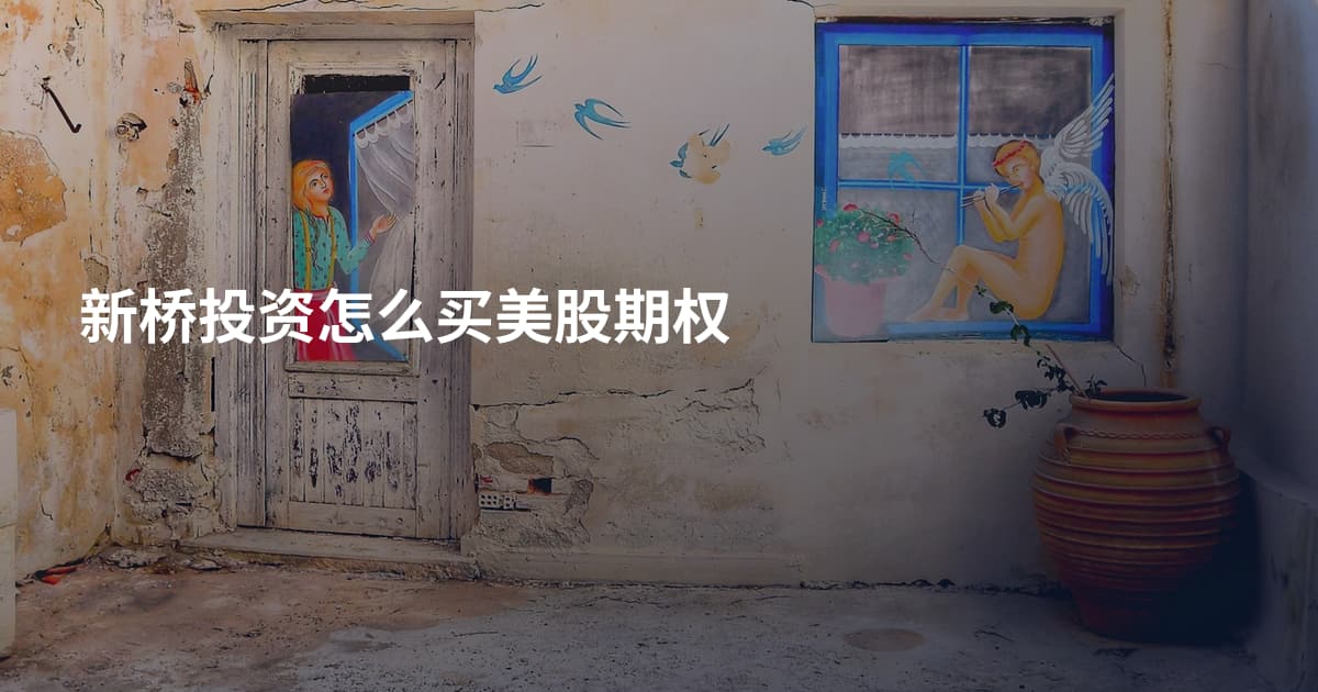 新桥投资怎么买美股期权