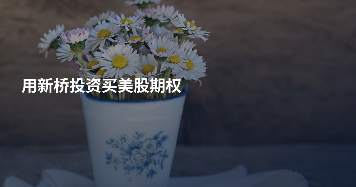 用新桥投资买美股期权