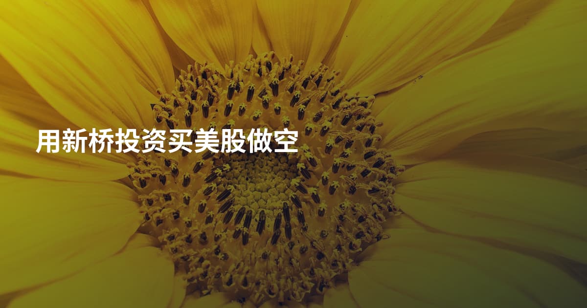 用新桥投资买美股做空