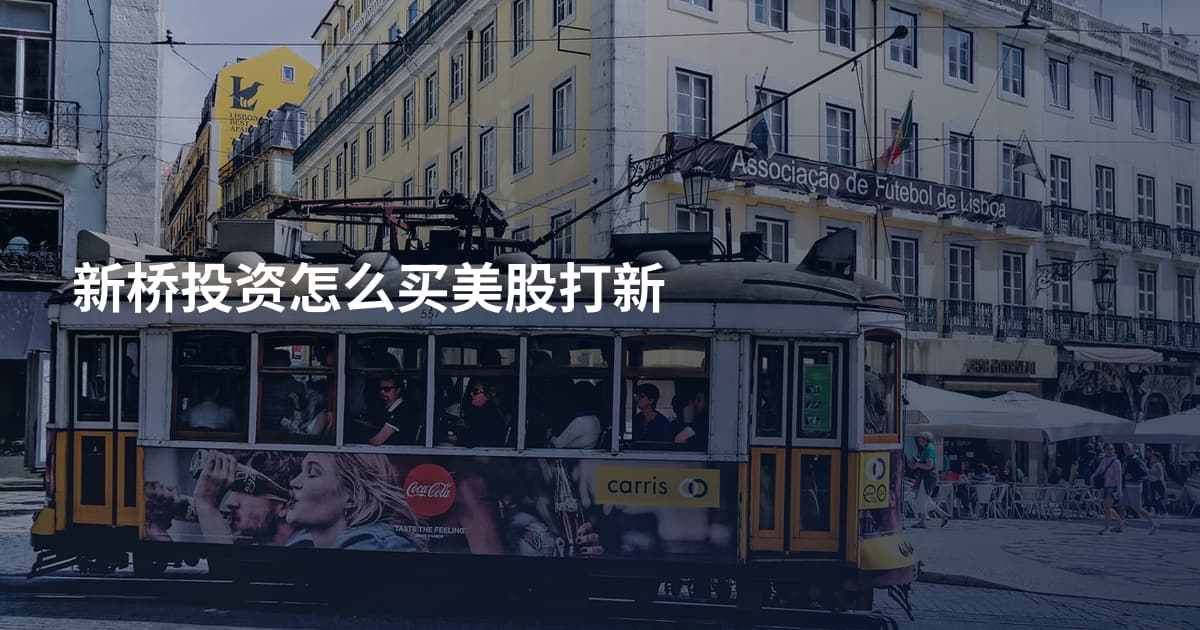 新桥投资怎么买美股打新