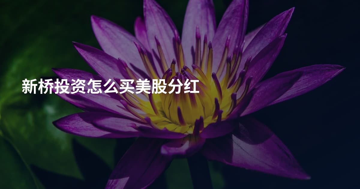 新桥投资怎么买美股分红