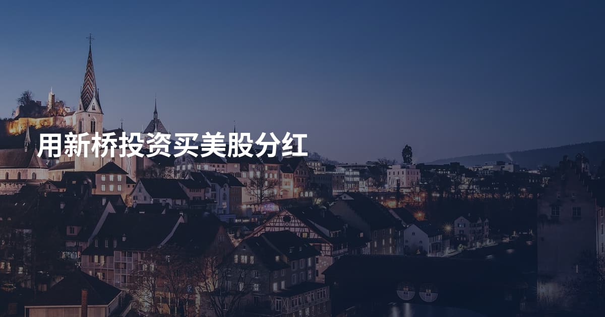 用新桥投资买美股分红