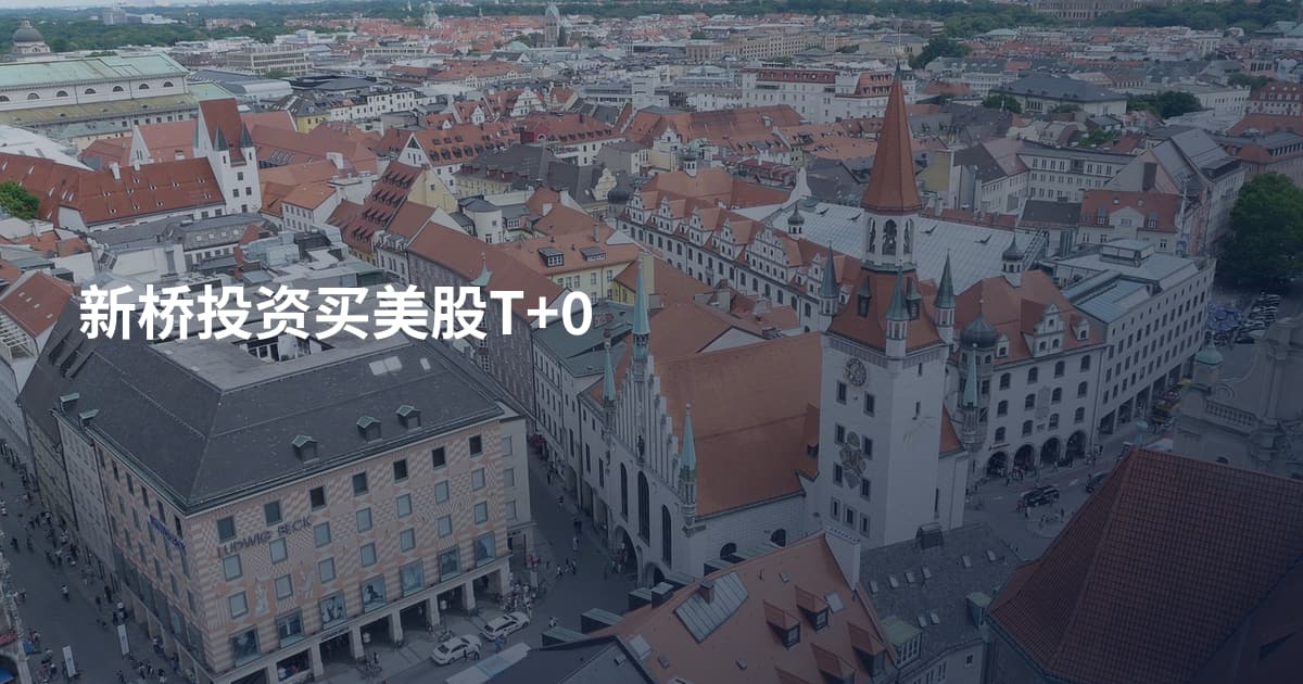 新桥投资买美股T+0