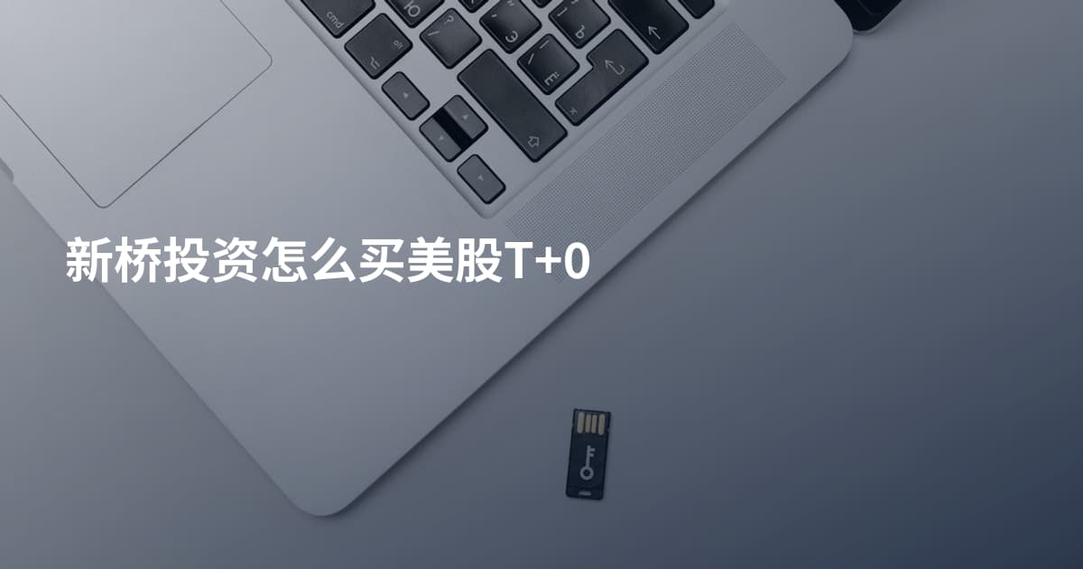 新桥投资怎么买美股T+0