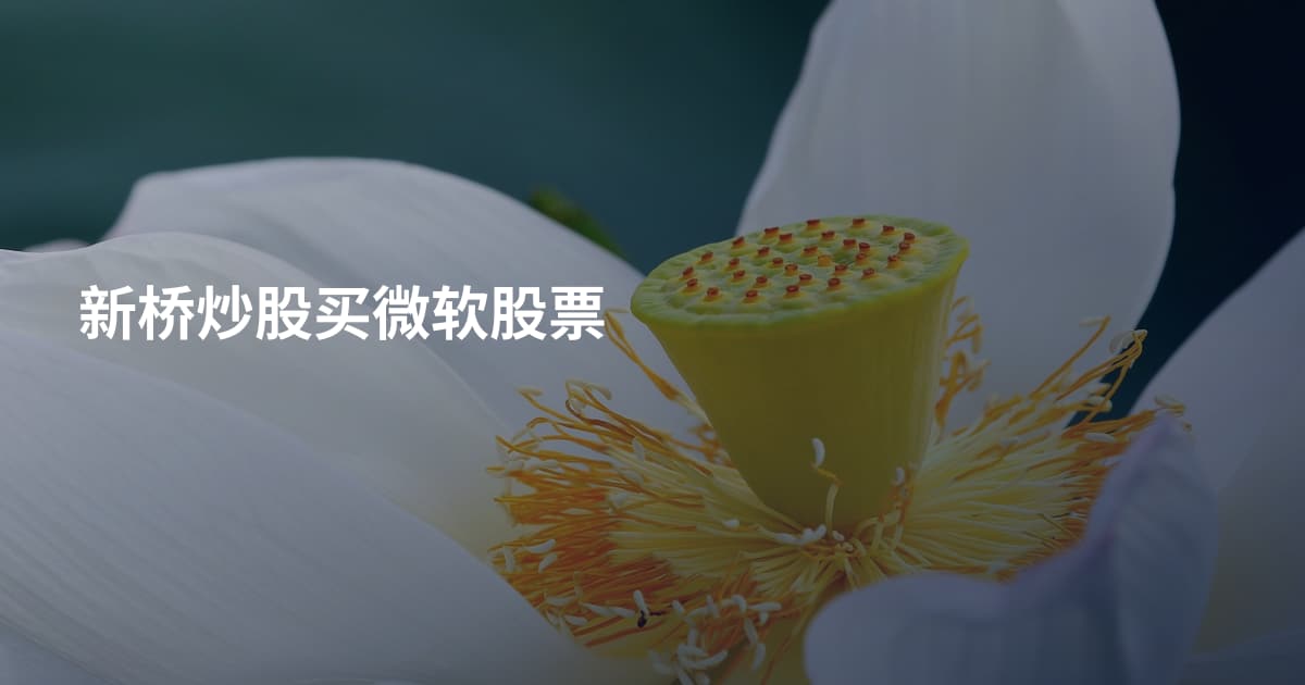新桥炒股买微软股票