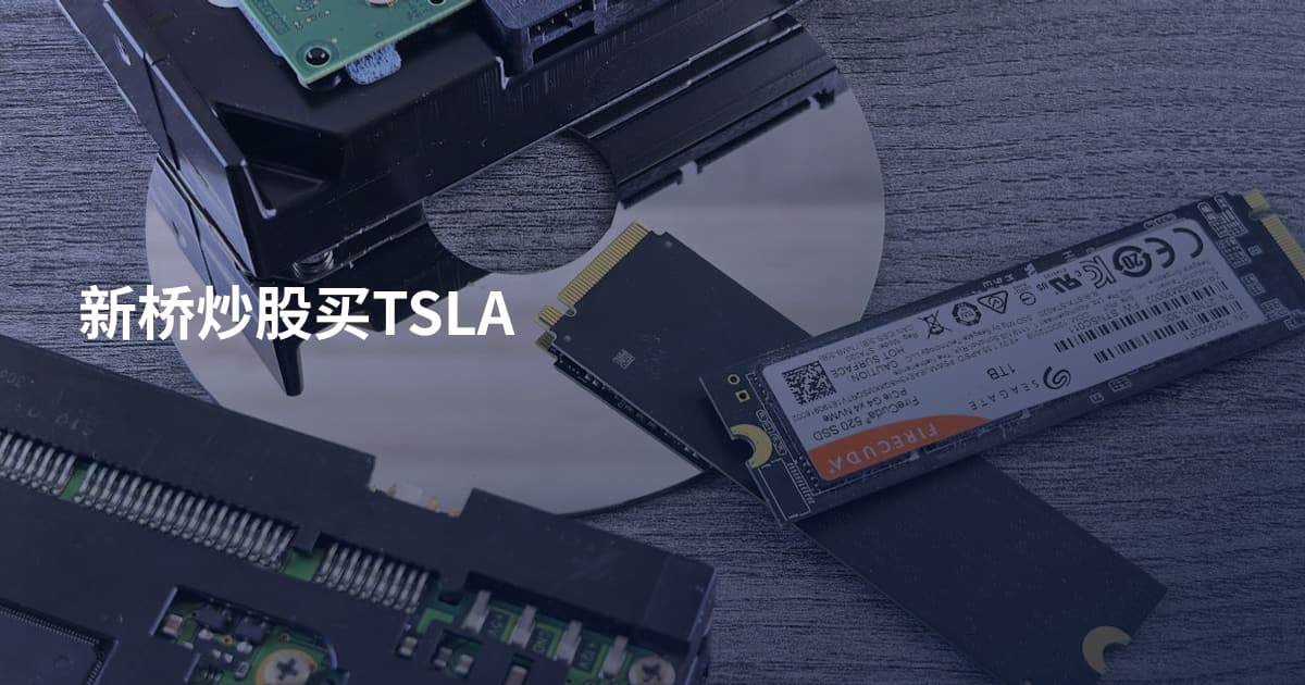 新桥炒股买TSLA