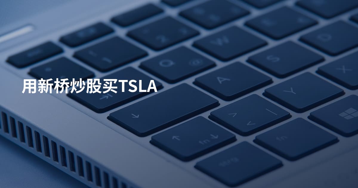 用新桥炒股买TSLA