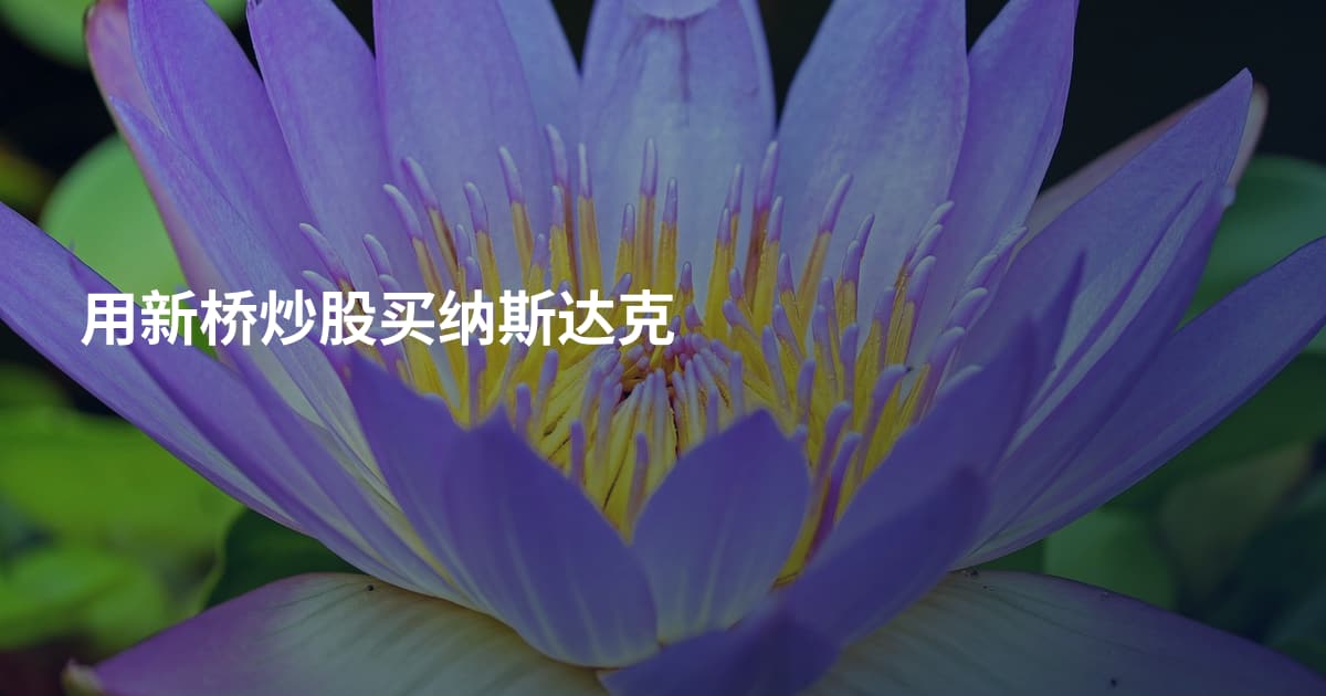 用新桥炒股买纳斯达克