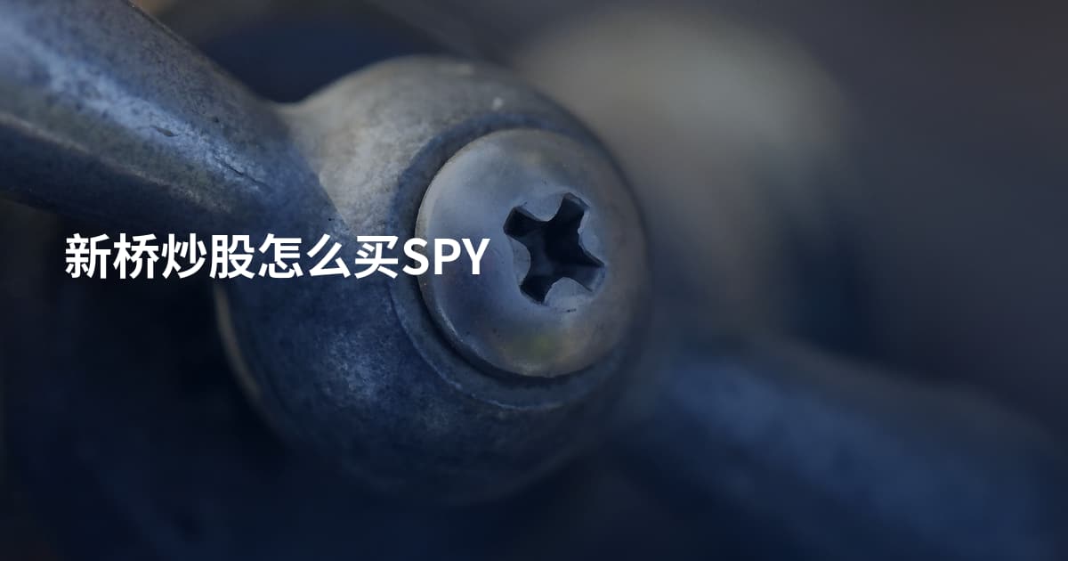 新桥炒股怎么买SPY