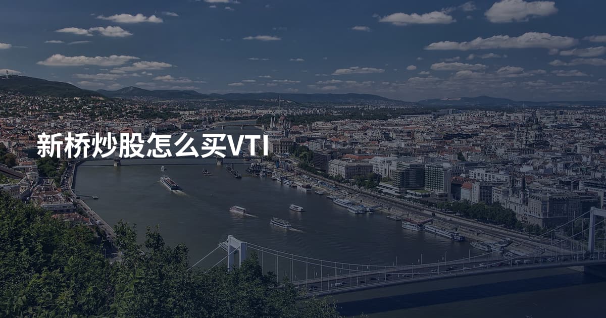 新桥炒股怎么买VTI