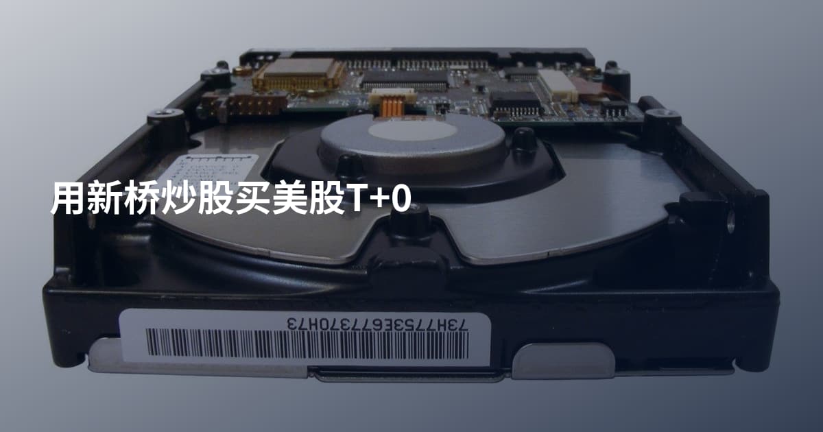 用新桥炒股买美股T+0