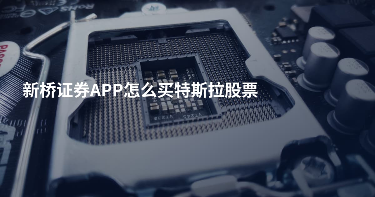 新桥证券APP怎么买特斯拉股票