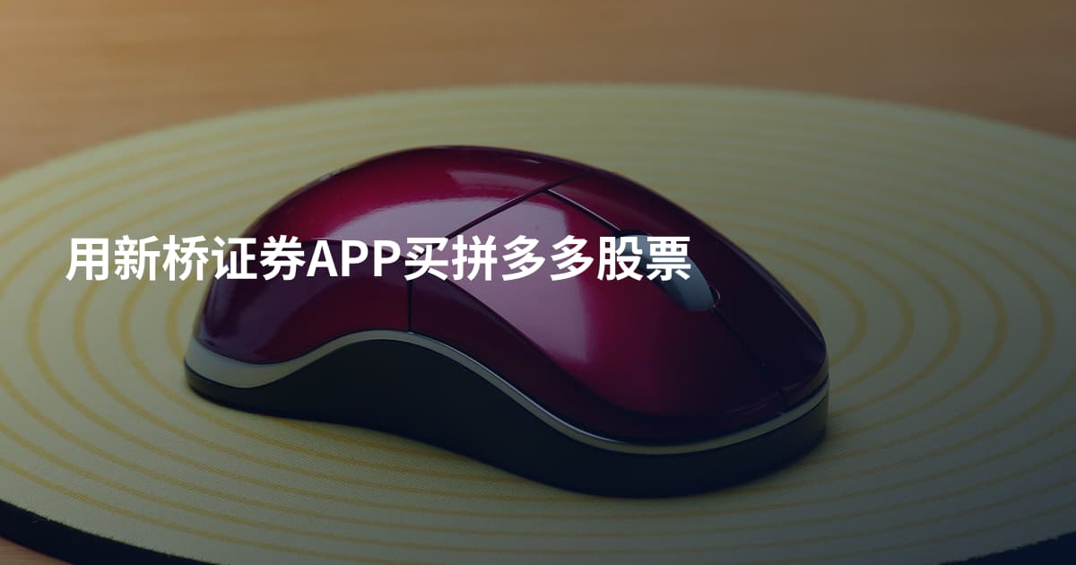用新桥证券APP买拼多多股票