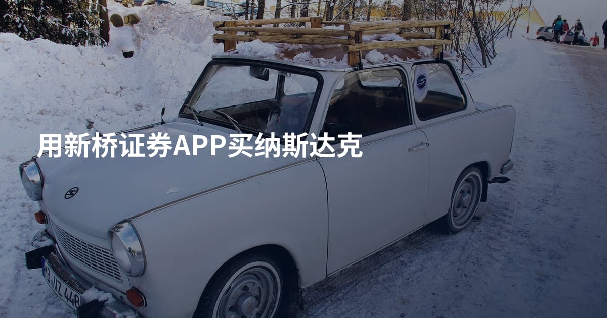 用新桥证券APP买纳斯达克