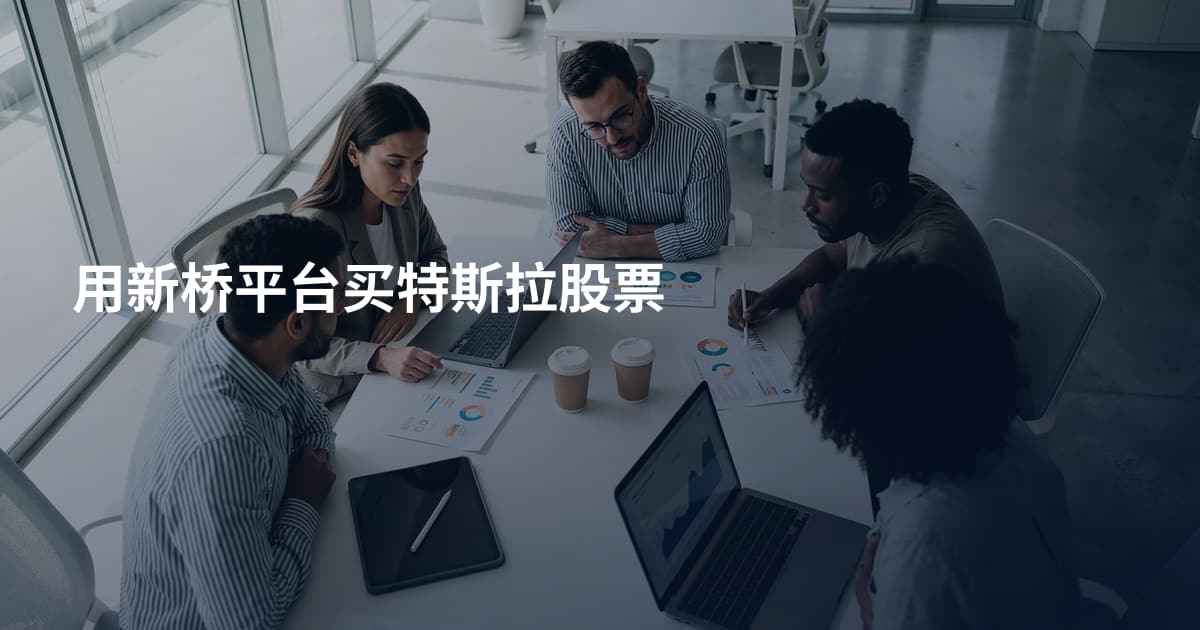 用新桥平台买特斯拉股票