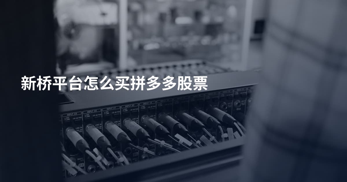 新桥平台怎么买拼多多股票