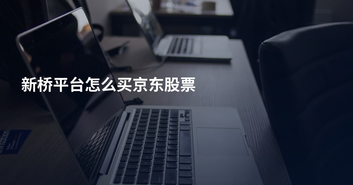 新桥平台怎么买京东股票