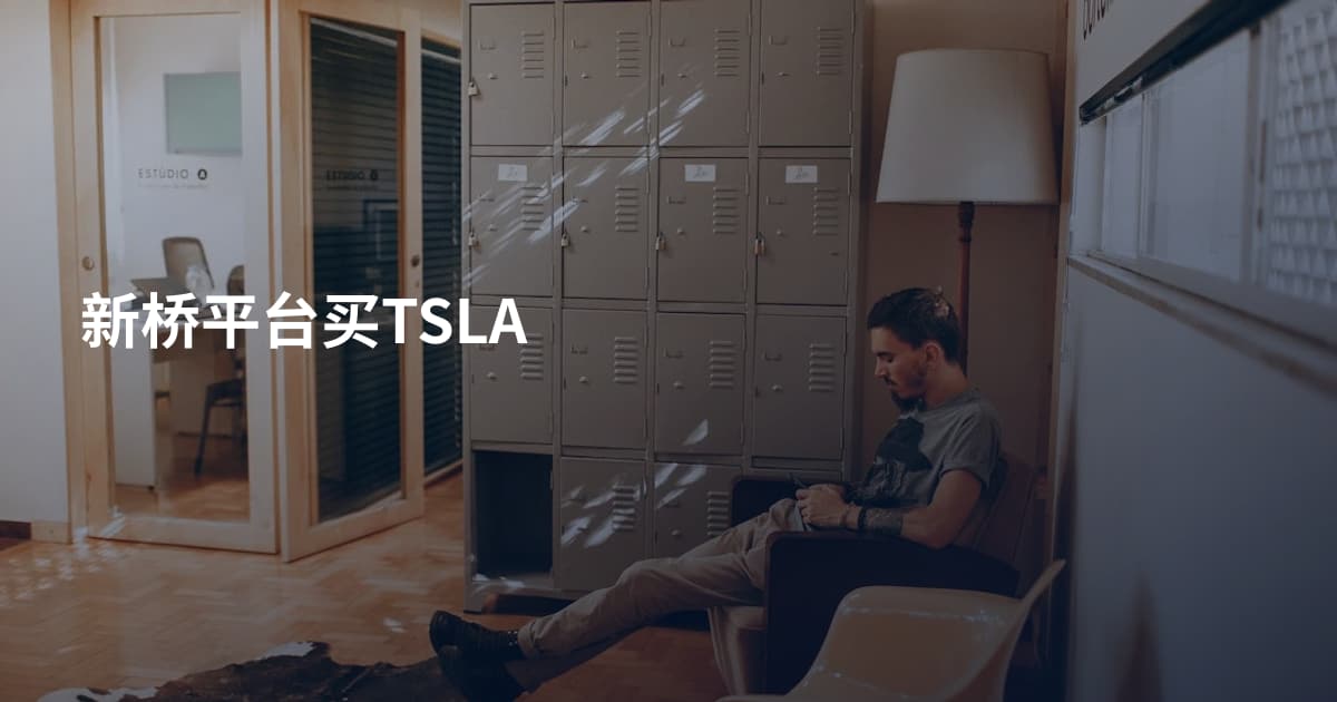 新桥平台买TSLA