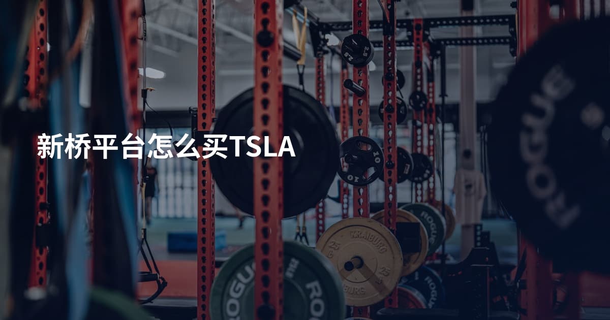 新桥平台怎么买TSLA