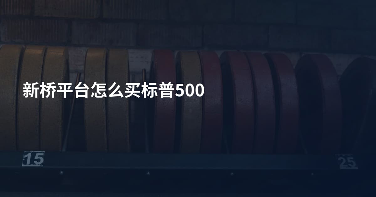 新桥平台怎么买标普500