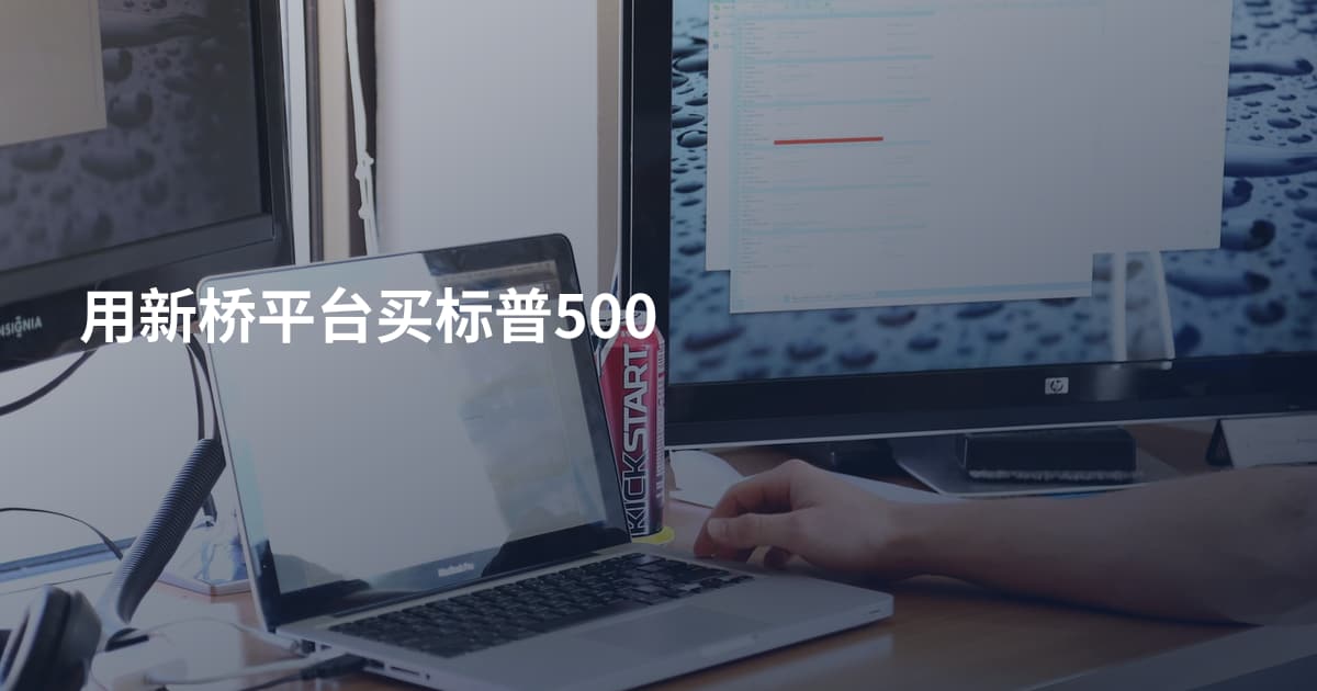 用新桥平台买标普500