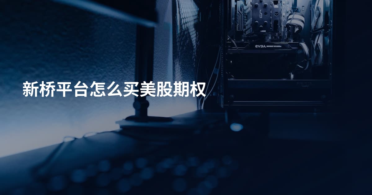 新桥平台怎么买美股期权