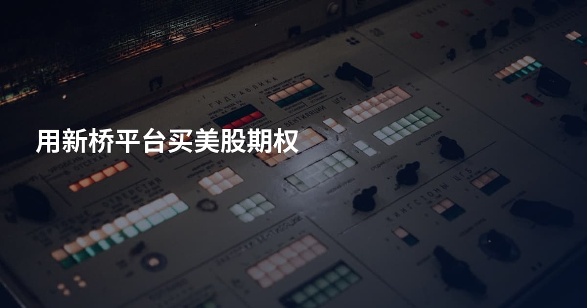 用新桥平台买美股期权