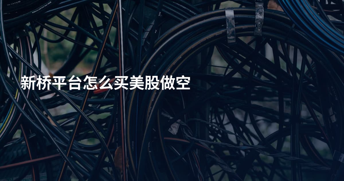 新桥平台怎么买美股做空