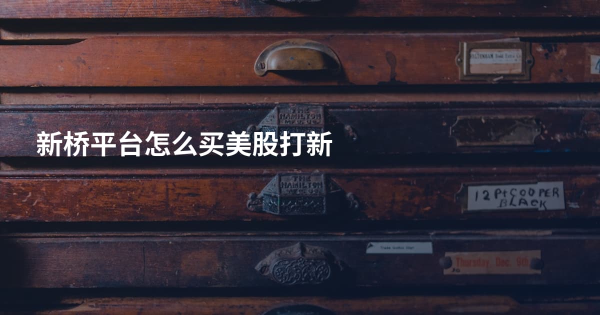 新桥平台怎么买美股打新