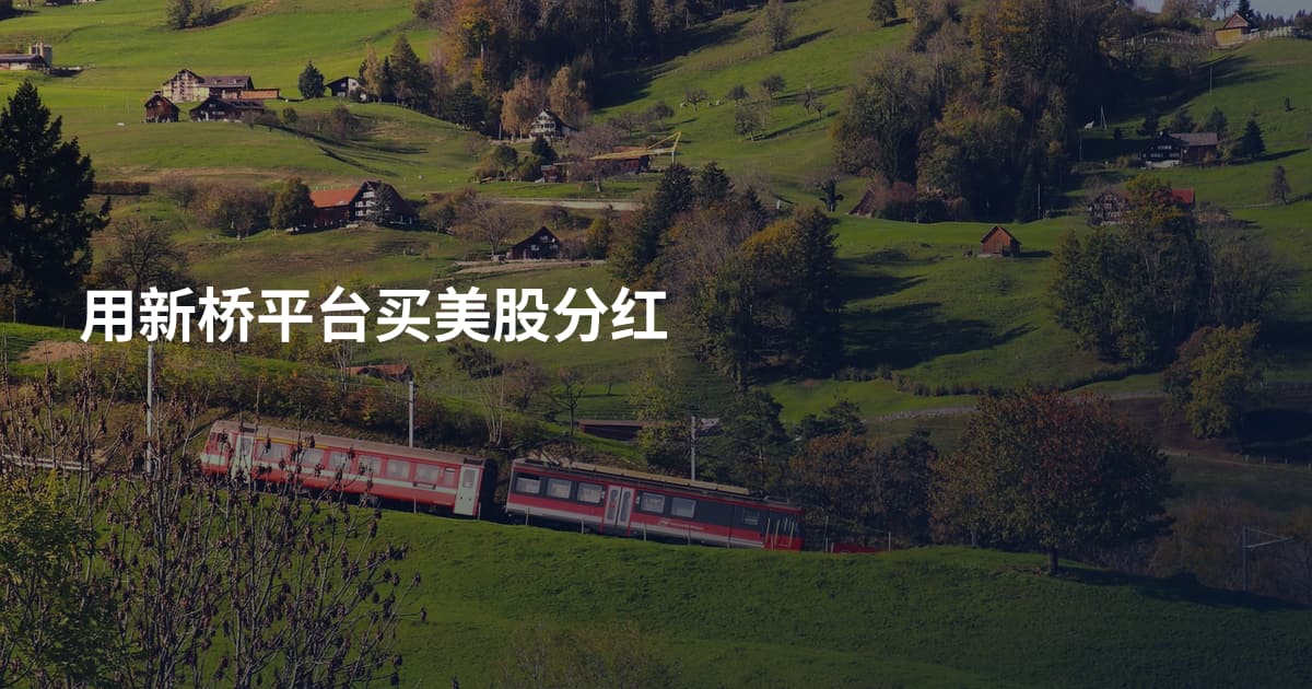 用新桥平台买美股分红