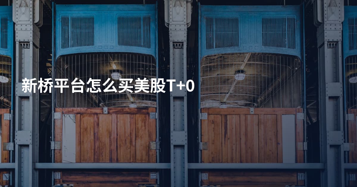 新桥平台怎么买美股T+0