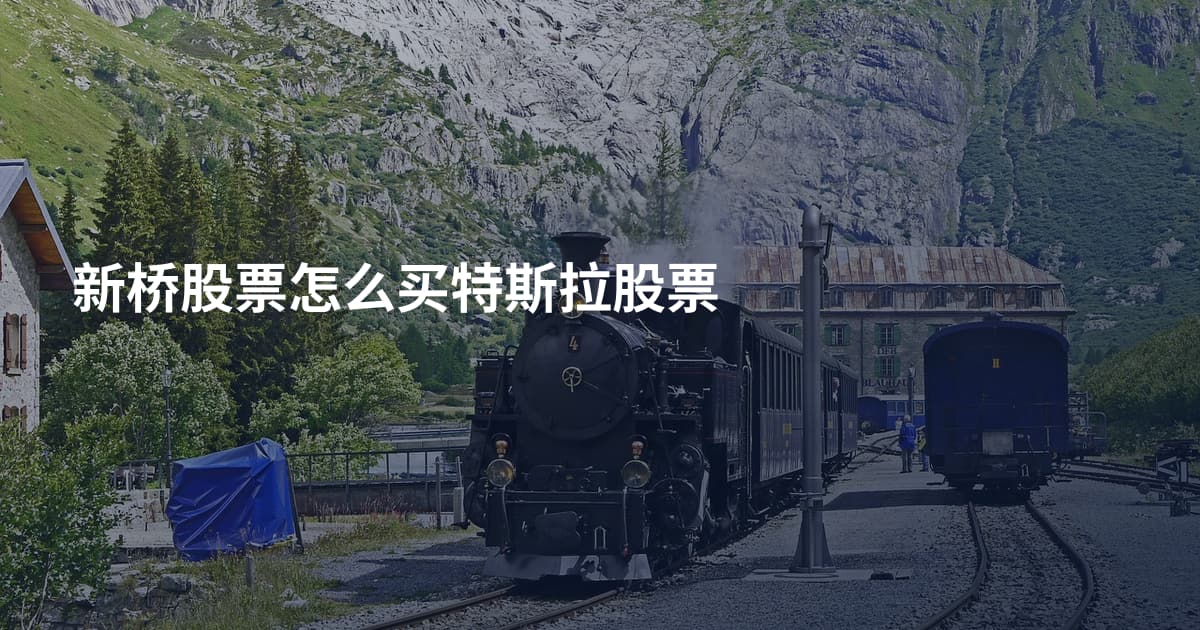 新桥股票怎么买特斯拉股票